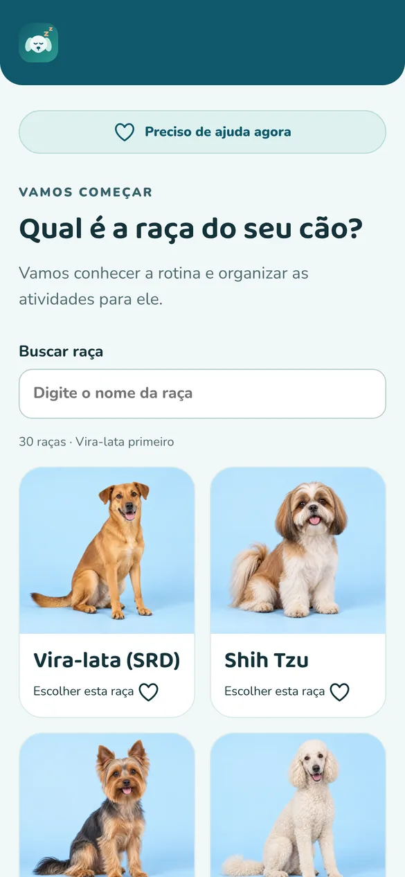 Tela real: perfil e raça do cão