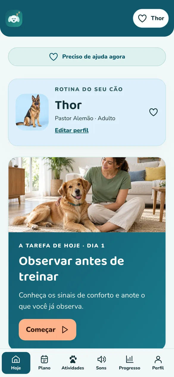 Tela do Dog Calm Studio